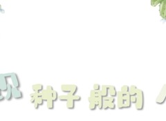 发现种子般的儿童 ——“像叶圣陶那样做老师”专题读书交流活动